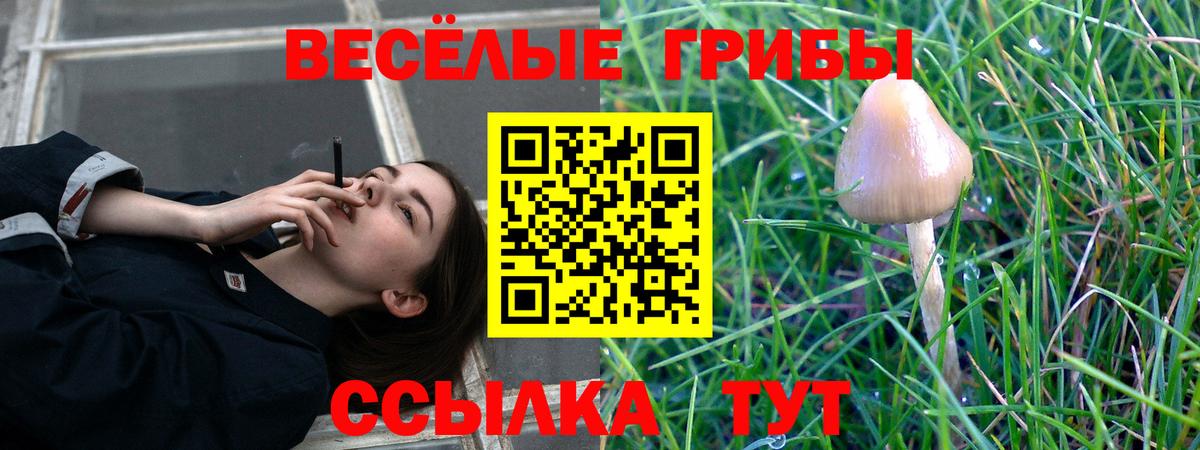 Псилоцибиновые грибы Magic Shrooms Калуга
